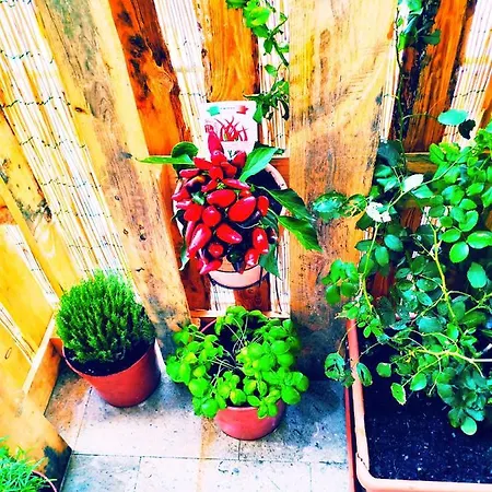 I Filoksenia Bed & Breakfast