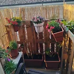 I Filoksenia トリエステ